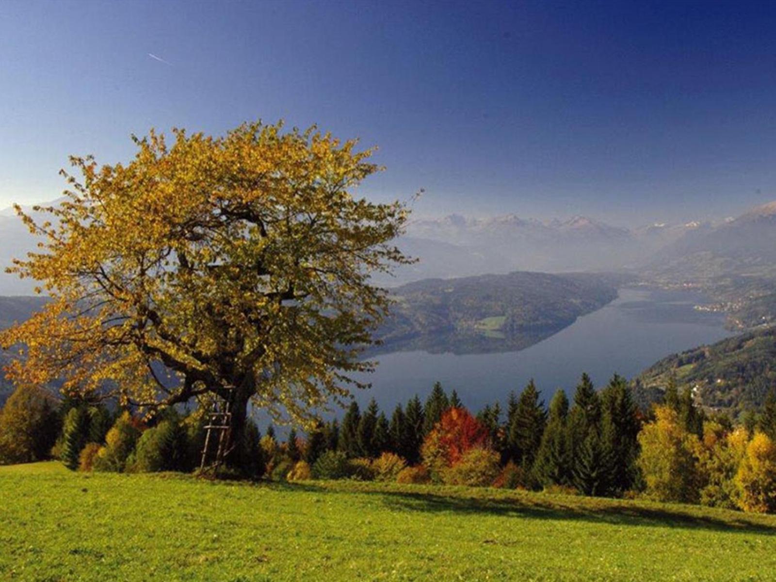 Seeglueck Hotel Forelle Superior Millstatt Buitenkant foto