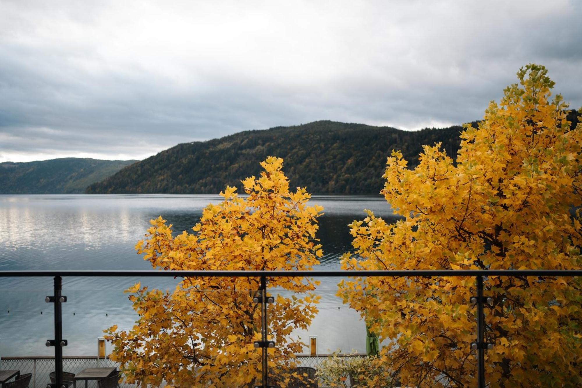 Seeglueck Hotel Forelle Superior Millstatt Buitenkant foto